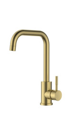 SALINA GOLD